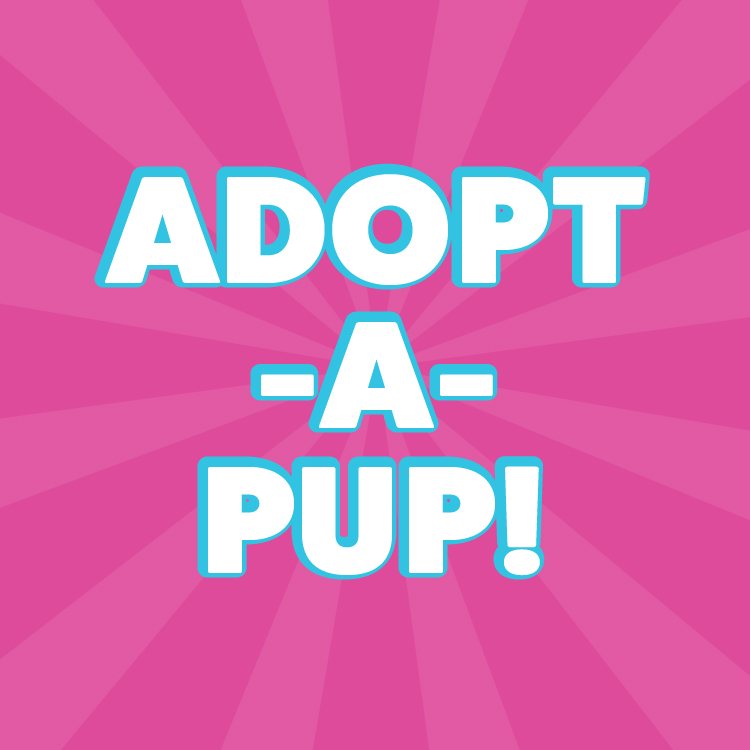 Adopt-A-Pup Trios